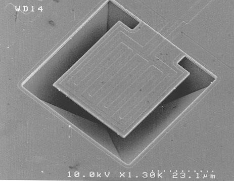 paper2_image1.jpg