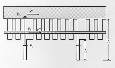 paper2_image3.jpg