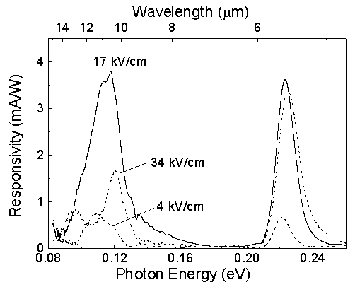 paper2_image4.gif